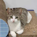 Photo of Bella