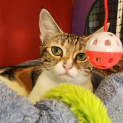 Photo of Bonnie