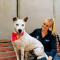Photo of Nara