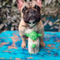 Photo of Spencer