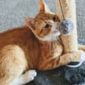 Photo of Marlo