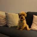 Photo of Pepe Rivero