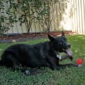 Photo of Jett
