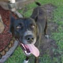 Photo of Jett