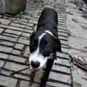 Photo of Zoe