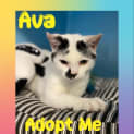 Photo of Ava
