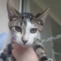 Photo of Tanjiro