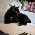 Photo of Jefery