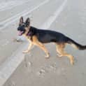 Photo of Tyson