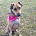 Photo of Wilfred