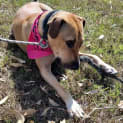 Photo of Wilfred