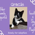 Photo of Gracie