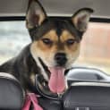 Photo of Bodie