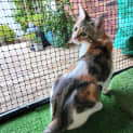 Photo of Bonnie