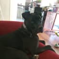Photo of Finn