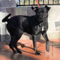 Photo of Zane