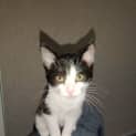 Photo of Anja
