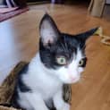 Photo of Anja