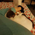 Photo of Annie & Fito