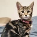 Photo of Evie