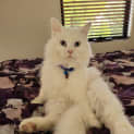 Photo of Wesley