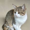 Photo of Cleo