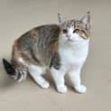 Photo of Cleo