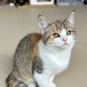 Photo of Cleo