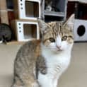 Photo of Cleo