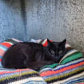 Photo of Delia