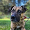 Photo of Rex