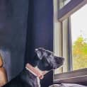 Photo of Mika