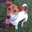 Photo of Jack