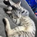 Photo of Princess