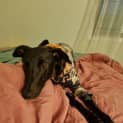 Photo of Jayla