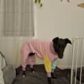Photo of Jayla
