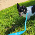 Photo of Rebel Maddison