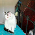 Photo of La La