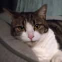 Photo of Lucy