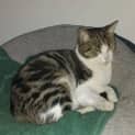 Photo of Lucy