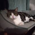 Photo of Lucy