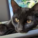 Photo of Storm