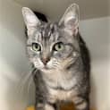 Photo of Zoe