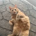 Photo of Rodney 
