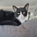 Photo of Marcie 