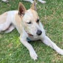 Photo of Maggie