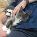 Photo of Buttercup