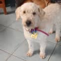 Photo of Noah