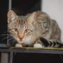 Photo of Kinder