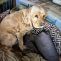Photo of Sandy